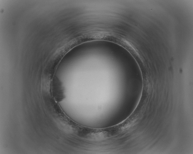 X0000062910307200601181226