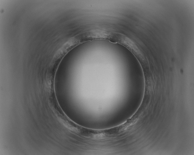 X0000062910309200601181226