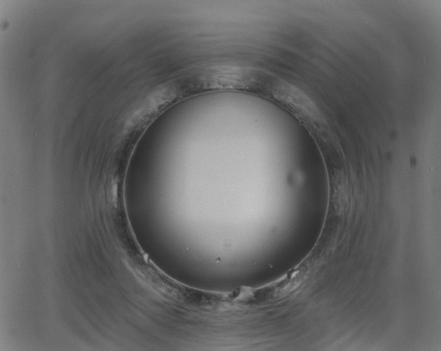 X0000062910310200601181226