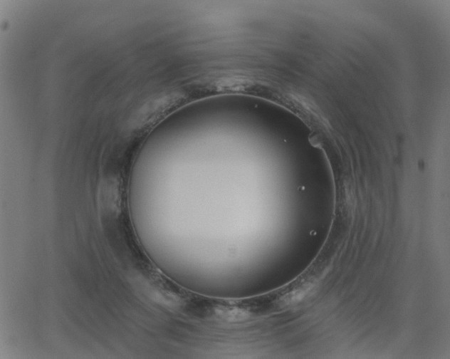 X0000062910311200601181226