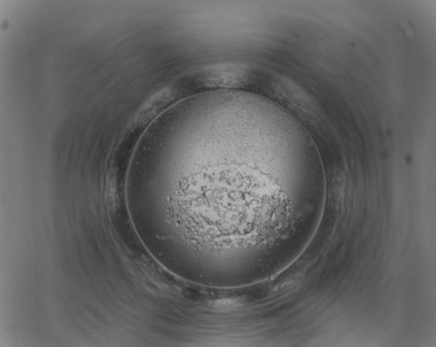 X0000062910312200601181226