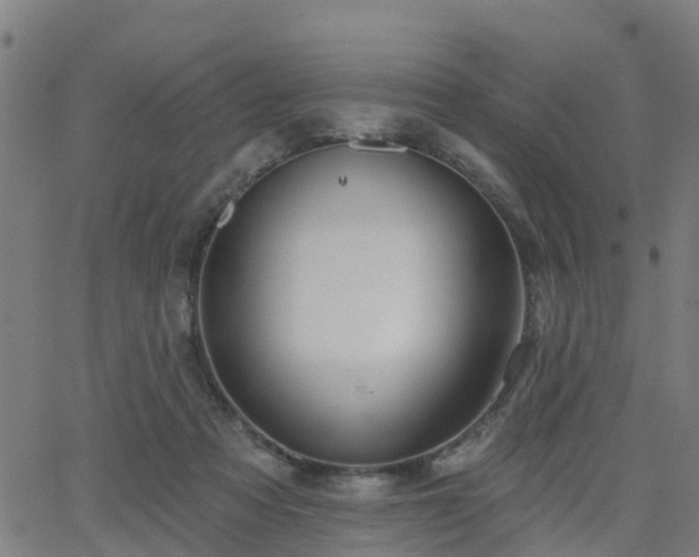 X0000062910313200601181226