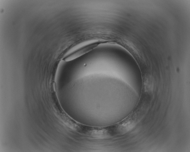 X0000062910314200601181226