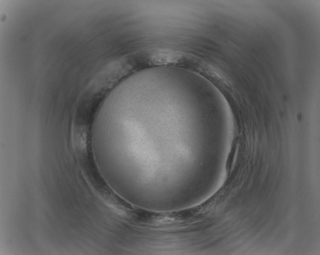 X0000062910315200601181226