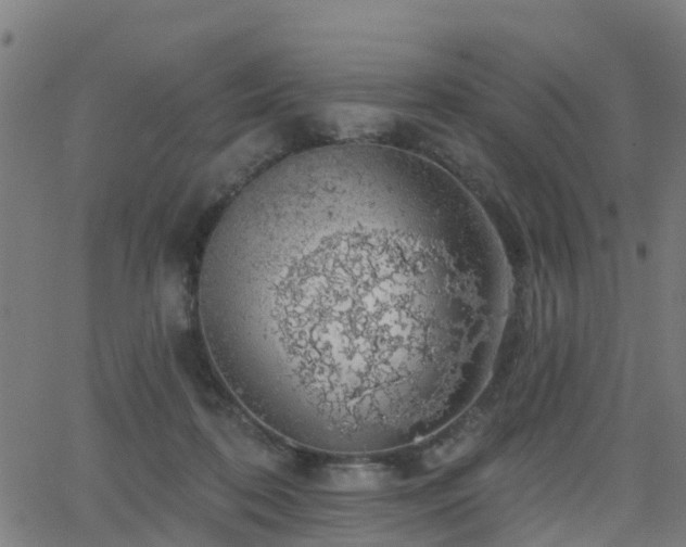 X0000062910316200601181226