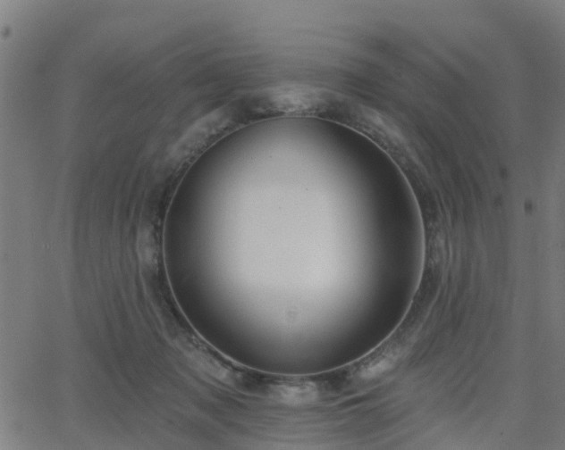 X0000062910317200601181226