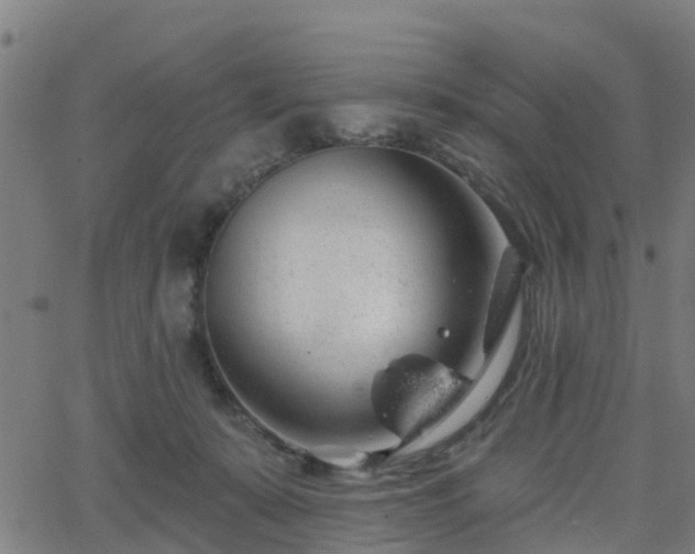 X0000062910319200601181226