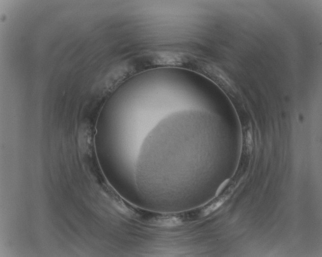 X0000062910322200601181226