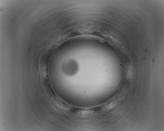 X0000062910323200601181226