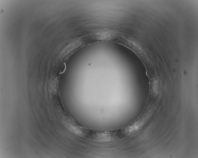 X0000062910325200601181226