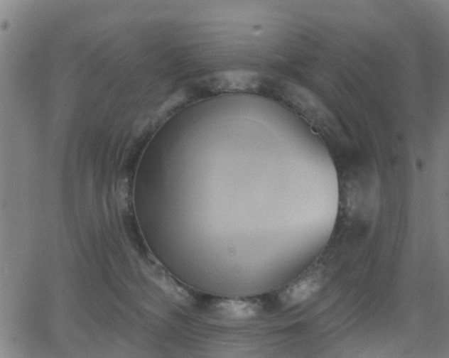 X0000062910326200601181226