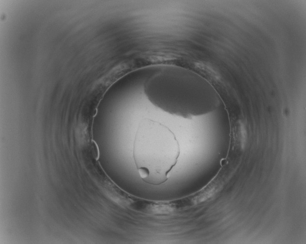 X0000062910327200601181226