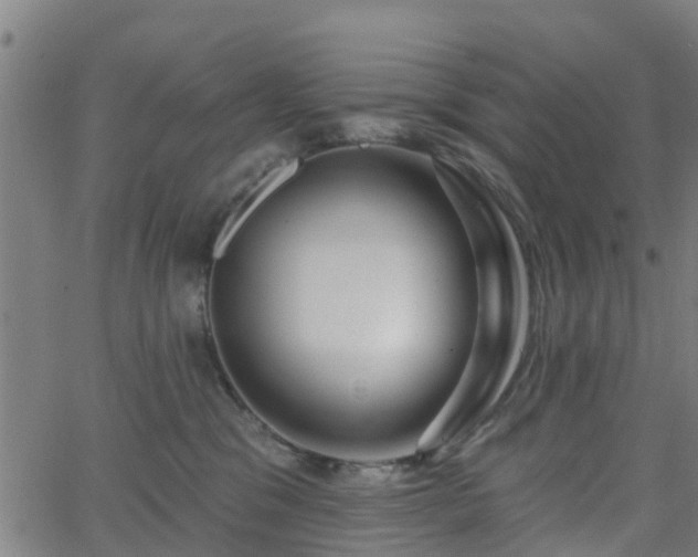 X0000062910329200601181226