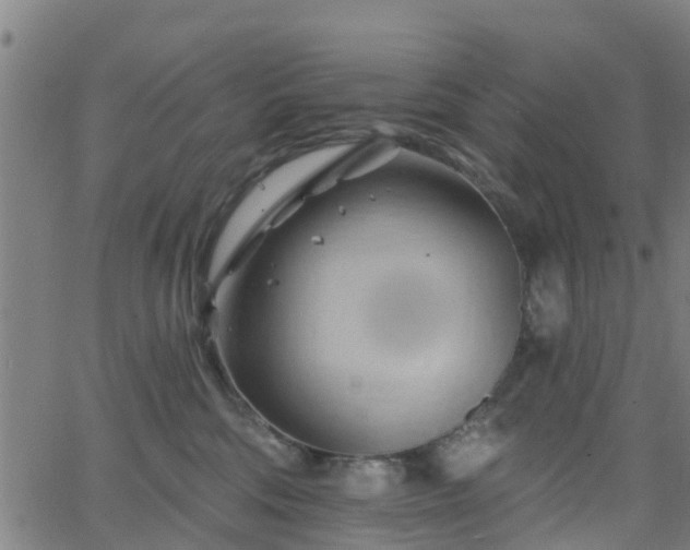 X0000062910330200601181226