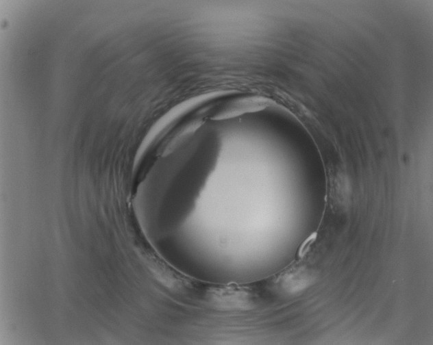 X0000062910331200601181226