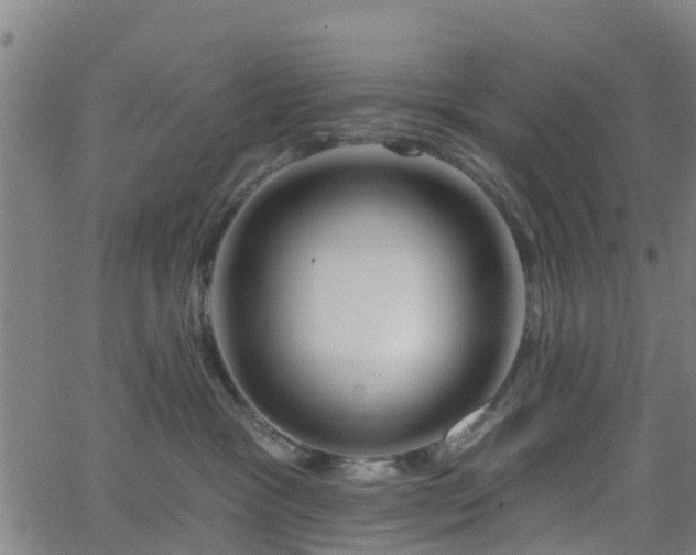 X0000062910333200601181225