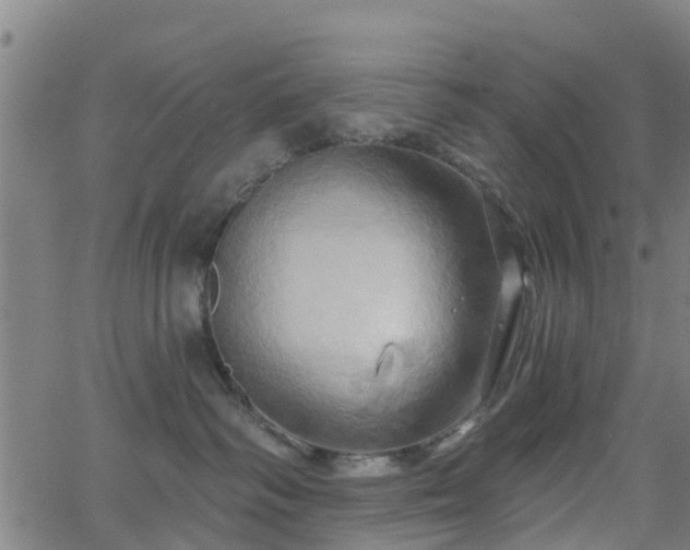 X0000062910334200601181225