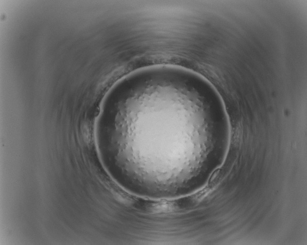 X0000062910335200601181225