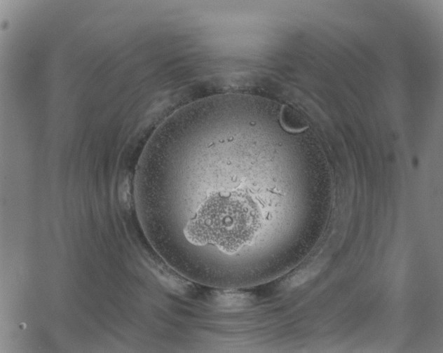 X0000062910336200601181225