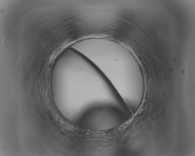 X0000062910337200601181225