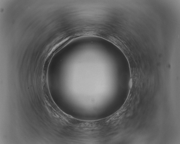 X0000062910338200601181225