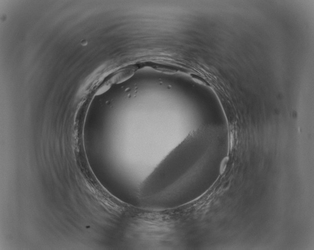 X0000062910339200601181225