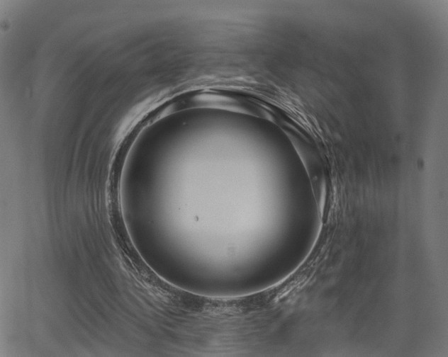 X0000062910340200601181225