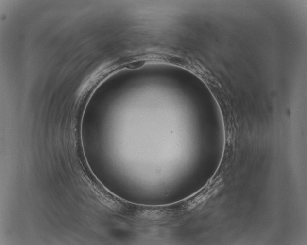 X0000062910341200601181225