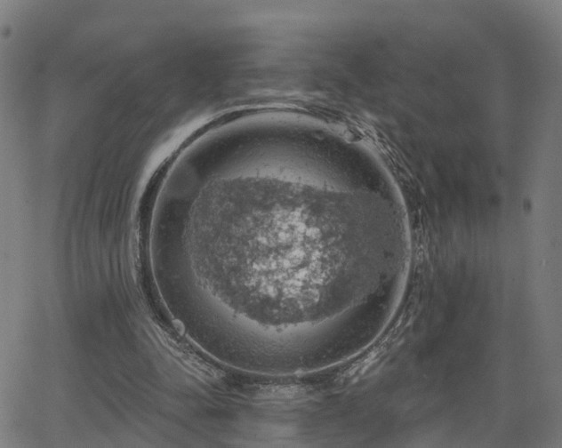 X0000062910342200601181225