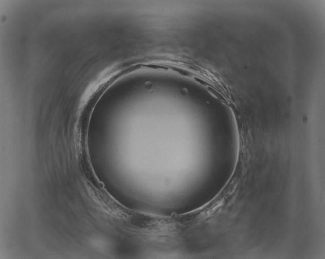 X0000062910343200601181225