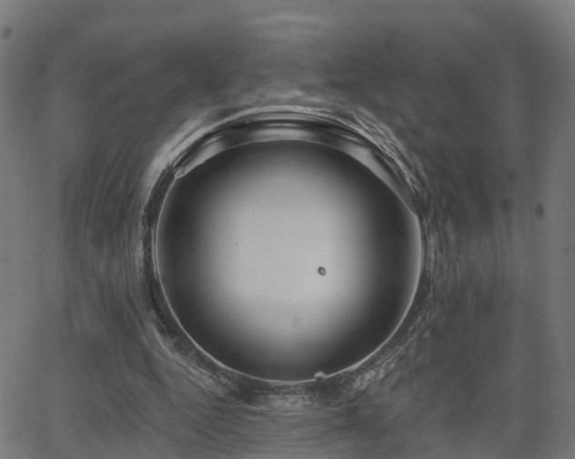 X0000062910344200601181225