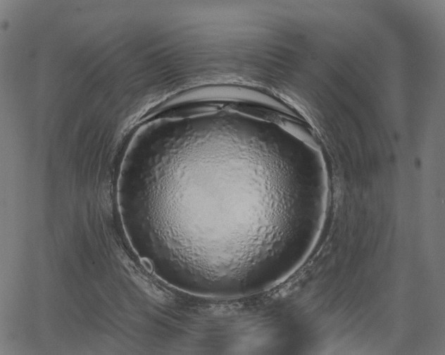 X0000062910345200601181225