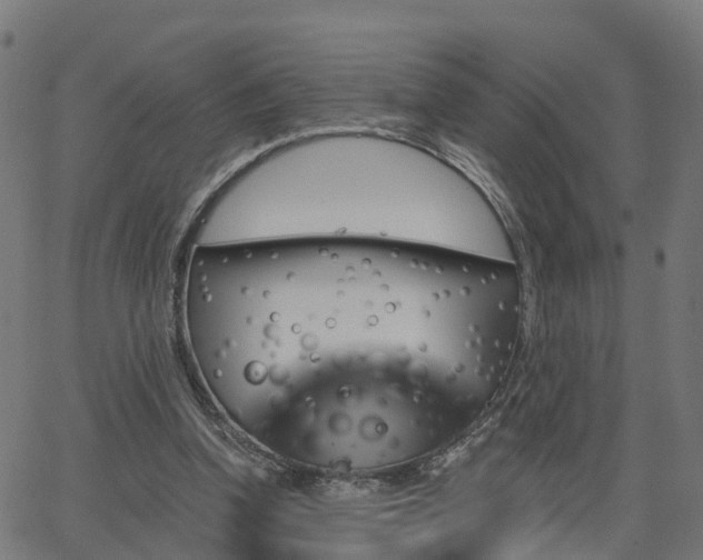 X0000062910346200601181225