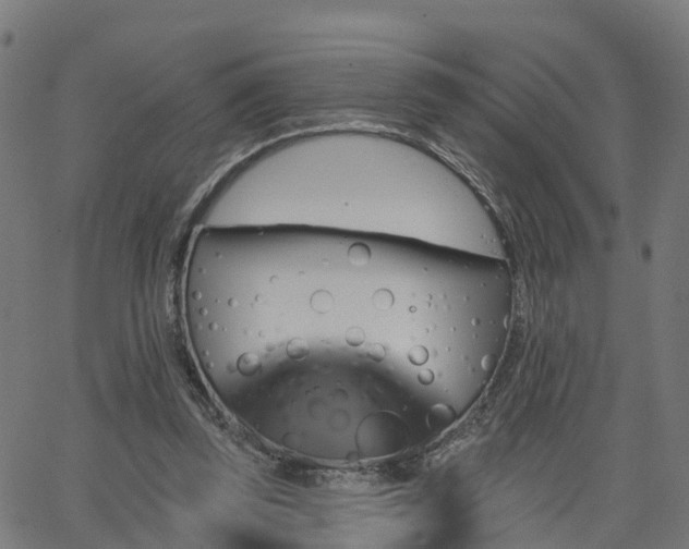 X0000062910347200601181225