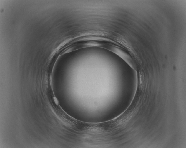 X0000062910348200601181225