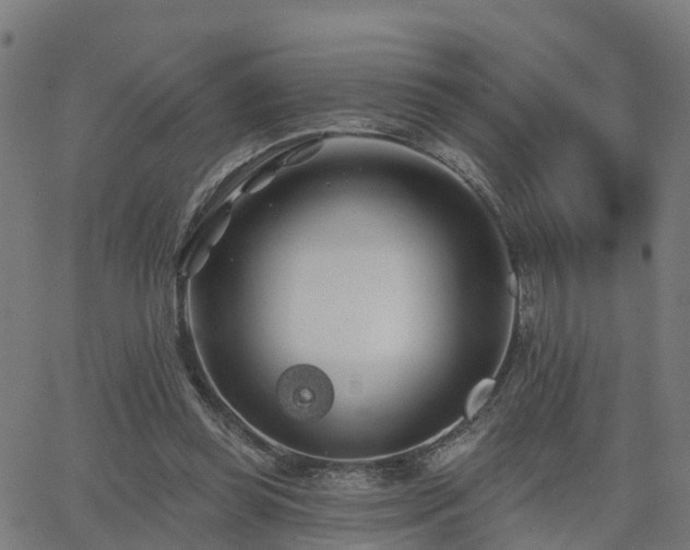 X0000062910349200601181225