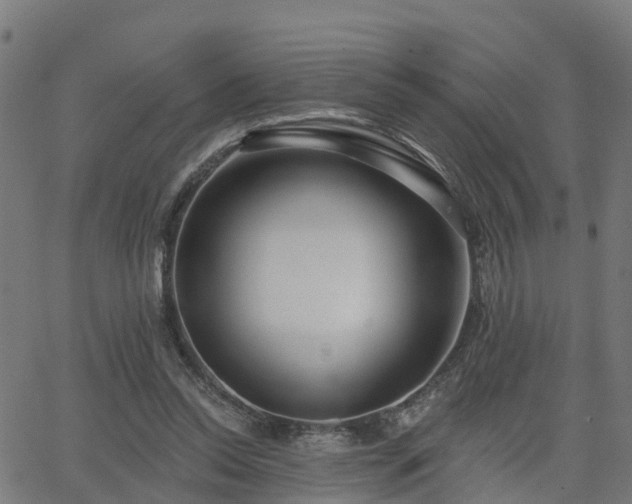 X0000062910350200601181225