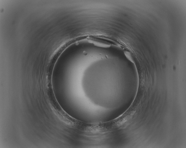 X0000062910351200601181225