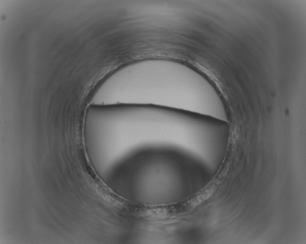 X0000062910353200601181225