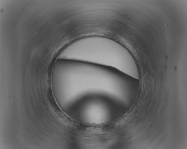 X0000062910354200601181225