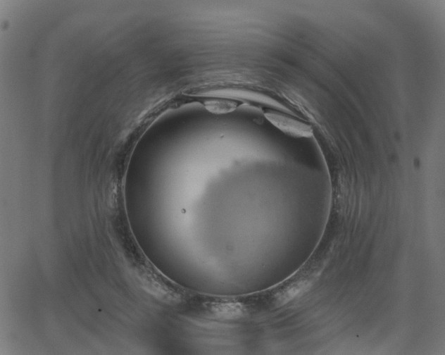 X0000062910355200601181225