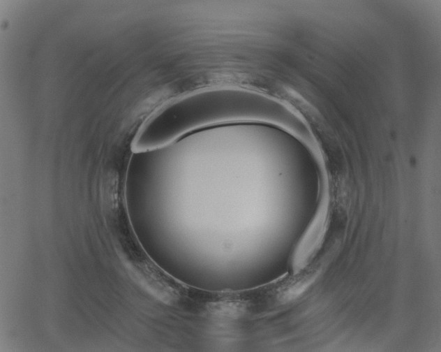 X0000062910356200601181225