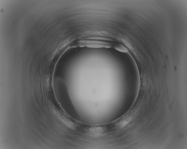 X0000062910357200601181225