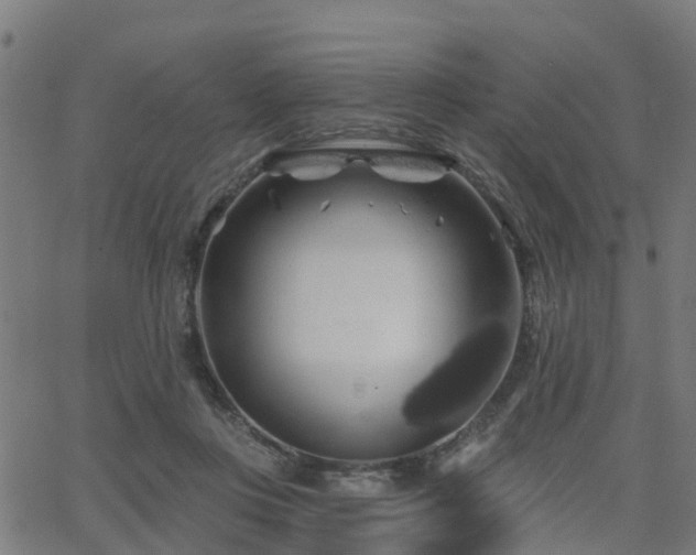 X0000062910359200601181225