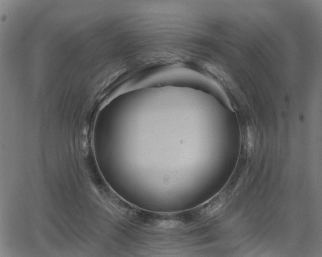 X0000062910360200601181225