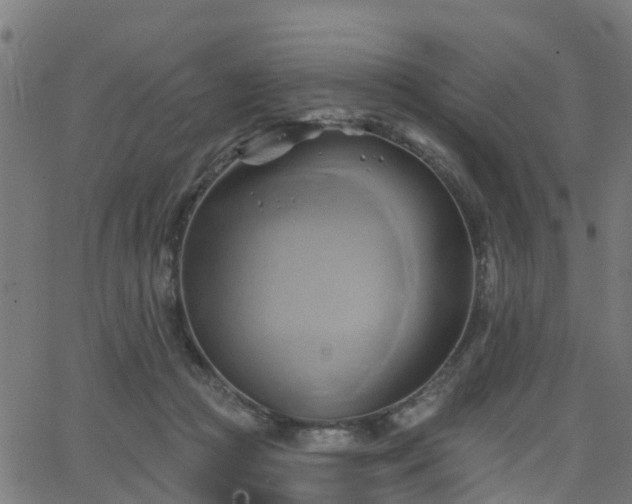 X0000062910361200601181225