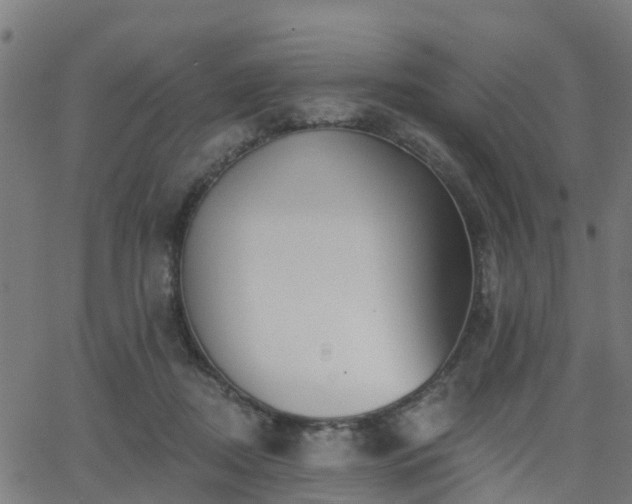 X0000062910362200601181225