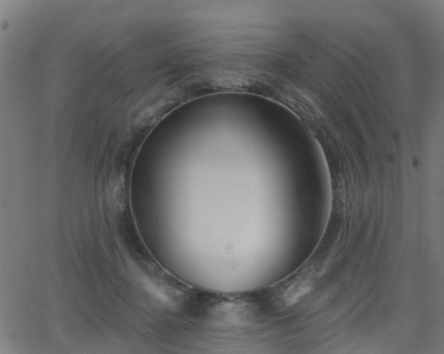 X0000062910364200601181225