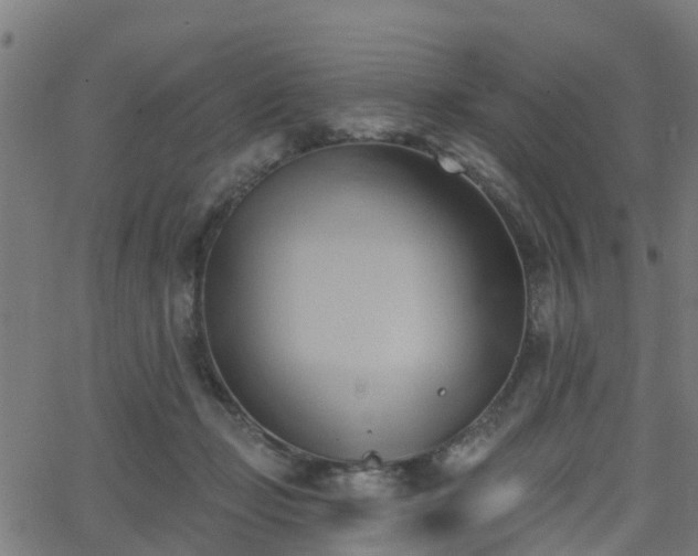 X0000062910365200601181225