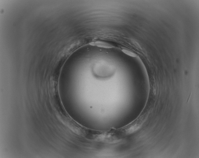 X0000062910366200601181225